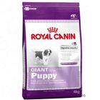 Croquettes pour chiot Royal Canin Giant Puppy 34