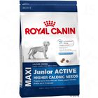 Croquettes pour chiot Royal Canin Maxi Junior Active