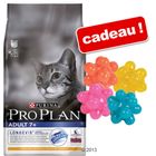 Croquettes Pro Plan 1,5 kg + balles à picots offertes !