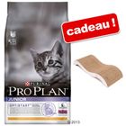 Croquettes Pro Plan 10 kg + griffoir  Vague offert !