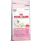 Croquettes Royal Canin Babycat 34 pour chaton