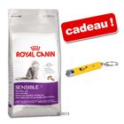 Croquettes Royal Canin 3,5/4 kg + jouet pointeur à DEL !