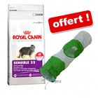 Croquettes Royal Canin 10 kg + Tunnel à bruissement offert !