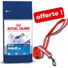 Croquettes Royal Canin Size 8/10/12/13/15kg+laisse offerte !