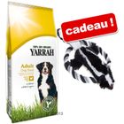 Croquettes Yarrah 10/15 kg + jouet moufette Skunky offert  !