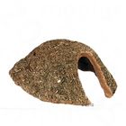 Crunchy Tipi Petersilie
