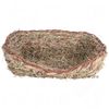 Cuccia in erba
