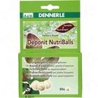 Dennerle Deponit NutriBalls Düngekugeln