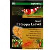 Dennerle Nano Catappa Leaves