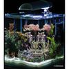Dennerle Nano Marinus Cube Complete PLUS 30 Litres