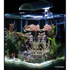 Dennerle Nano Marinus Cube Complete PLUS 30 Litres