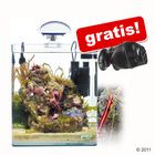Dennerle Nano Marinus Cube + pompa przepływowa gratis!