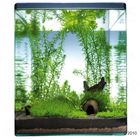 Dennerle Nano-Landschaft 