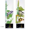 Dennerle Trocal T8 African-Lake + Special Plant zářivky