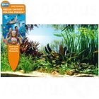 Dennerle Unterwasserlandschaft Kupfer Salmler