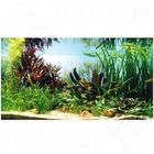 Dennerle Unterwasserlandschaft Kupfer Salmler