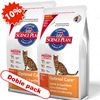 Doble pack: Hill's Feline 2 x 10 kg con dto.