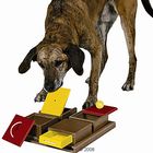 Dog Activity Poker Box