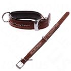 Dog Collar Fantasia
