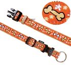 Dog Collar Modern Art Mojave