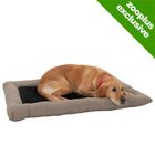 Dog Cushion Panorama