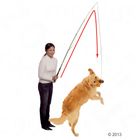 Dog Dangler Trainingsangel