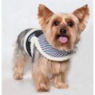 Dog Harness Denim Boy