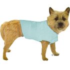 Dog Shirt Good Boy