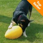 Dog Toy RunningEgg