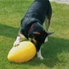 Dog Toy RunningEgg