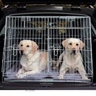 Double Transport Cage