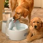 Drinkwell Big Dog Drinking Fountain