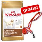 Duże opakowanie Royal Canin Breed + odblaskowa smycz gratis!