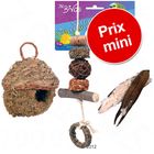 Ensemble d'accessoires naturels pour oiseaux