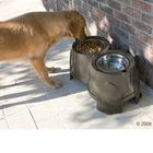 Ergo Feeder Doggy Bar