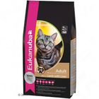 Eukanuba Adult Lamb & Liver