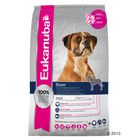 Eukanuba Boxer Adult