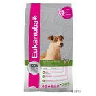 Eukanuba Breed Jack Russell Terrier
