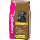 Eukanuba Breed Labrador Retriever
