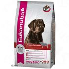 Eukanuba Breed Labrador Retriever
