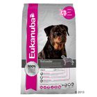 Eukanuba Breed Rottweiler pour chien