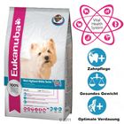 Eukanuba Breed Terrier Blanco West Highland