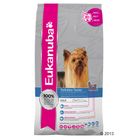 Eukanuba Breed Yorkshire Terrier