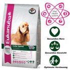 Eukanuba Cocker Spaniel