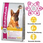 Eukanuba German Shepherd