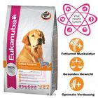 Eukanuba Golden Retriever