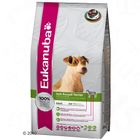 Eukanuba Jack Russell Terrier