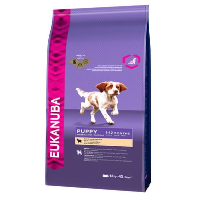 dogs food