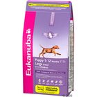 Eukanuba Puppy Grote Rassen Hondenvoer