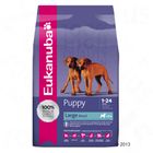 Eukanuba Puppy & Junior Large Breed